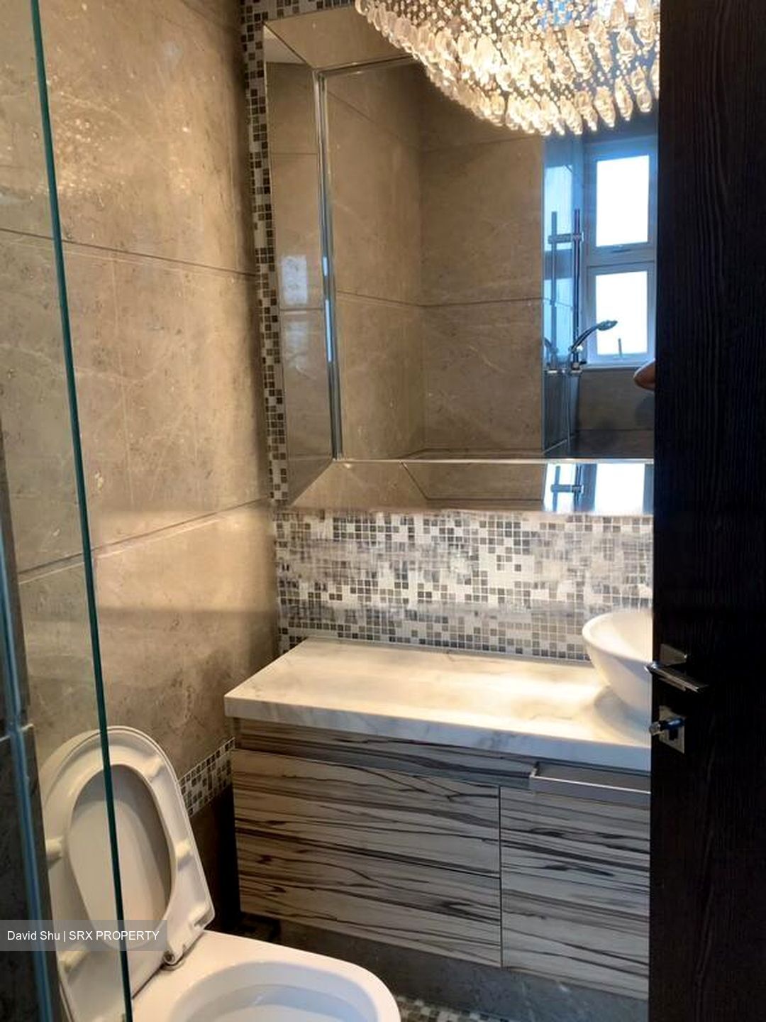 The Vision (D5), Condominium #508994871